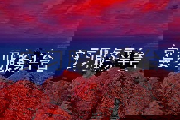 实习服务平台
