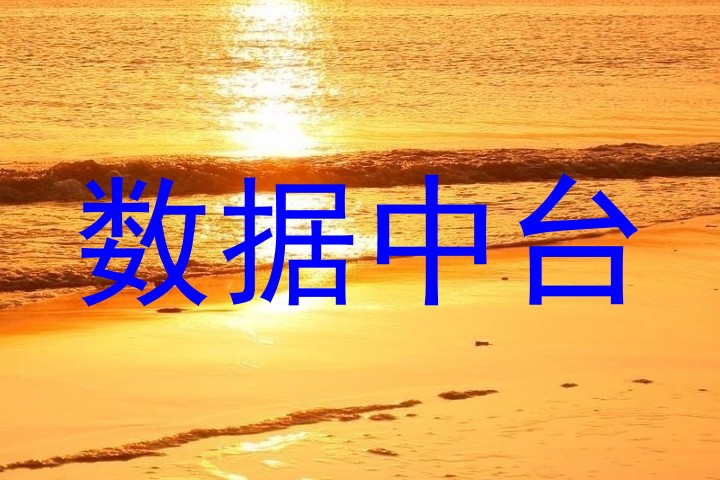 数据中台