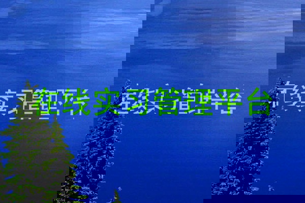 在线实习管理平台