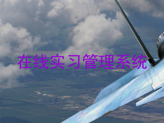 在线实习管理系统