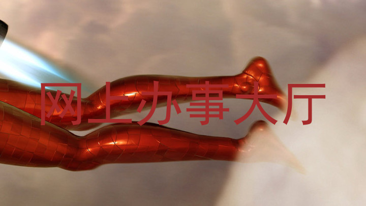 网上办事大厅