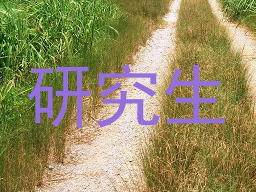 研究生
