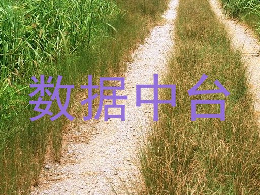 数据中台