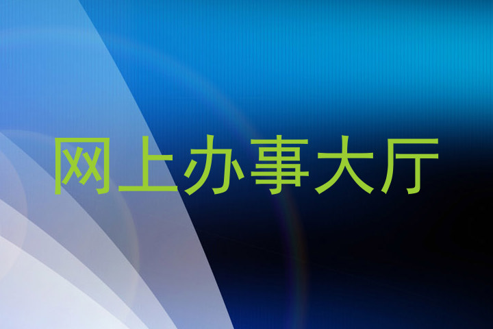 网上办事大厅