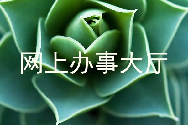 网上办事大厅