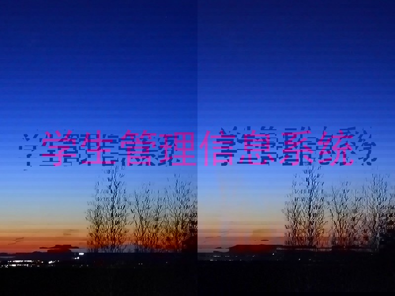 学生管理信息系统