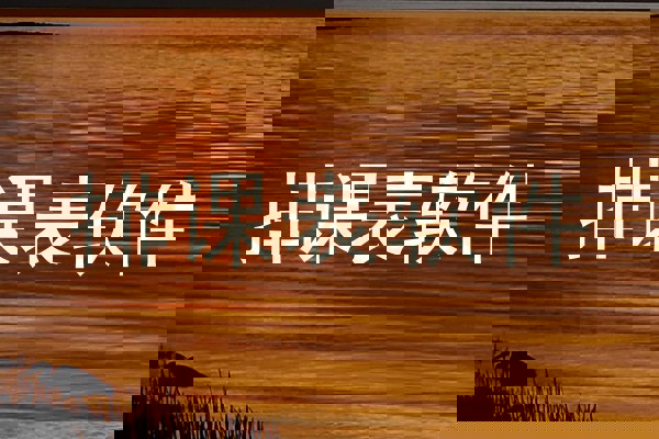 排课表软件