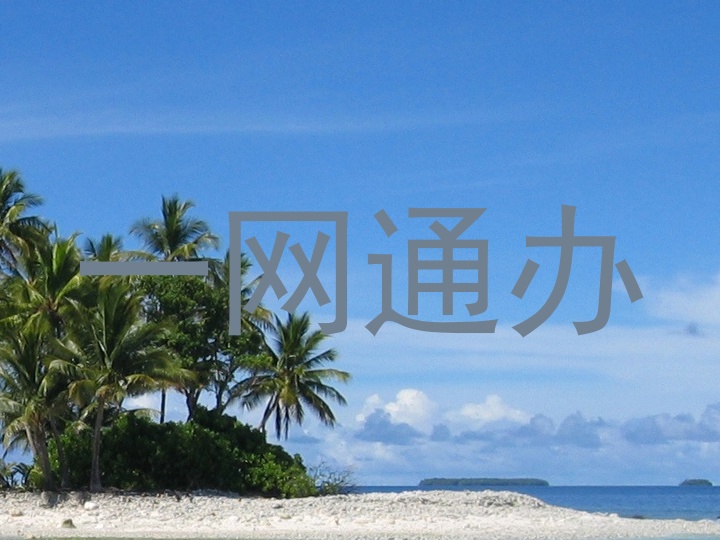 一网通办