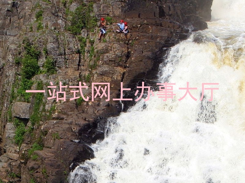 一站式网上办事大厅