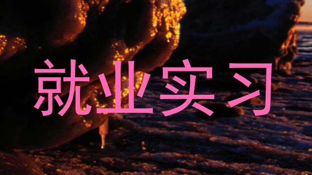 就业实习