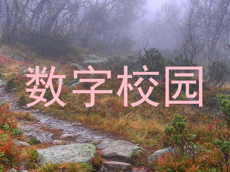数字校园
