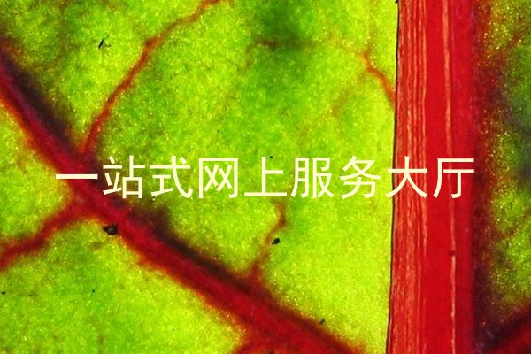 一站式网上服务大厅