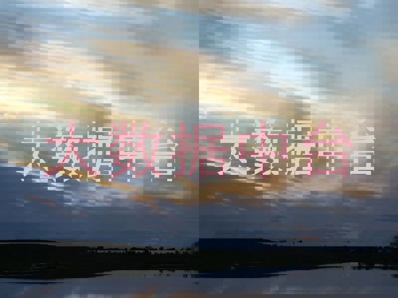 大数据中台