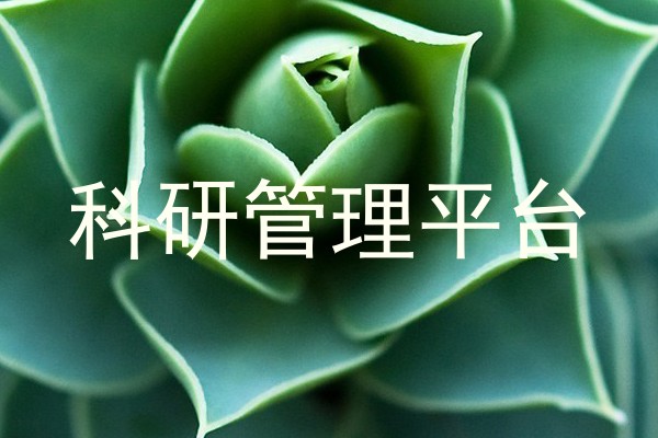科研管理平台