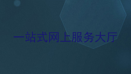 一站式网上服务大厅