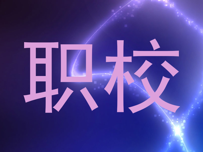 职校
