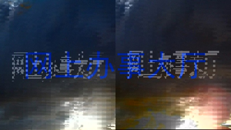 网上办事大厅