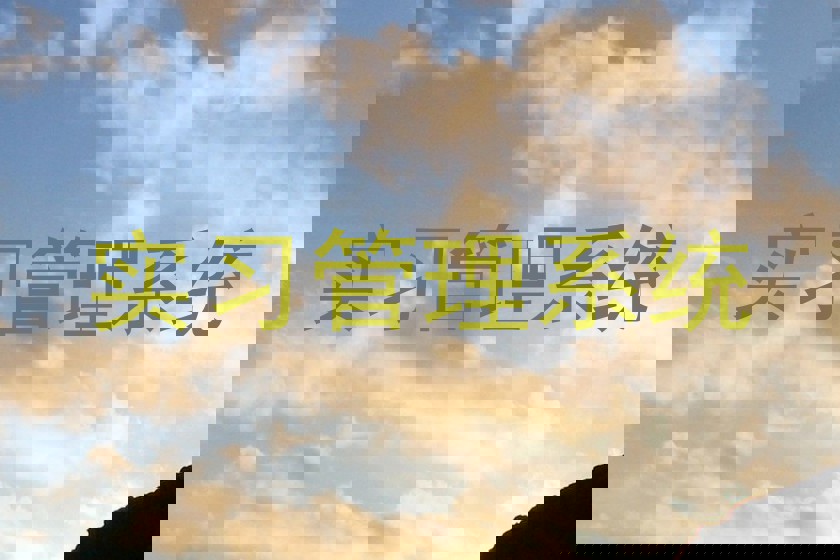 实习管理系统