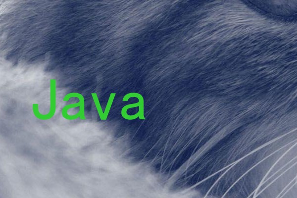 Java