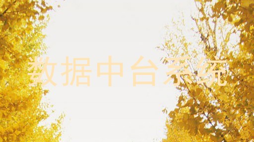 数据中台系统
