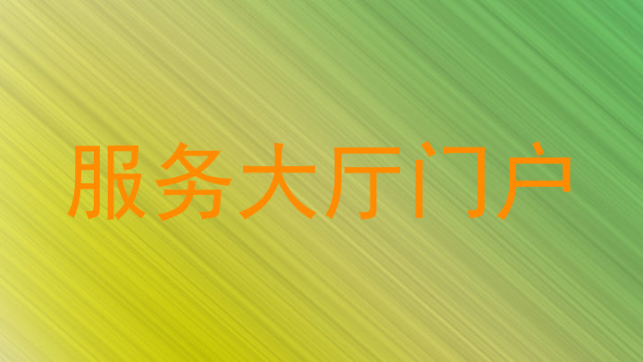 服务大厅门户