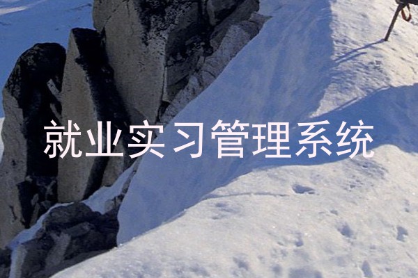 就业实习管理系统