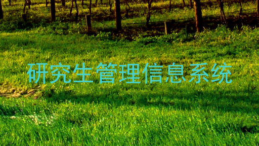 研究生管理信息系统
