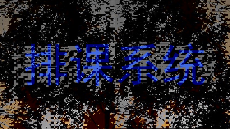 排课系统