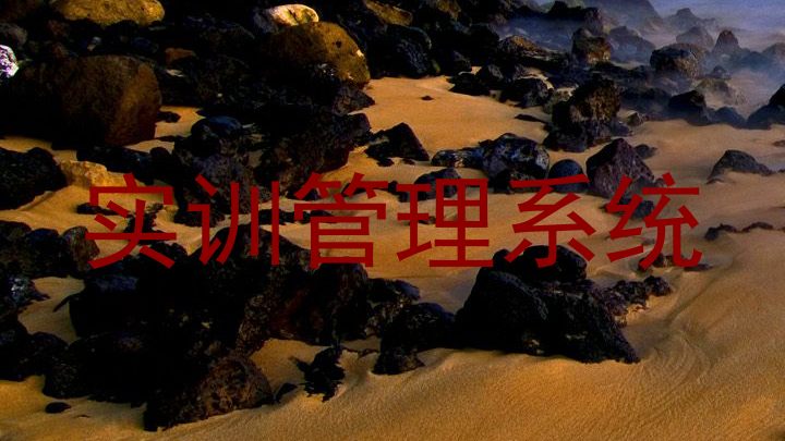 实训管理系统