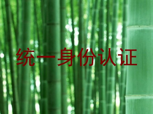 统一身份认证