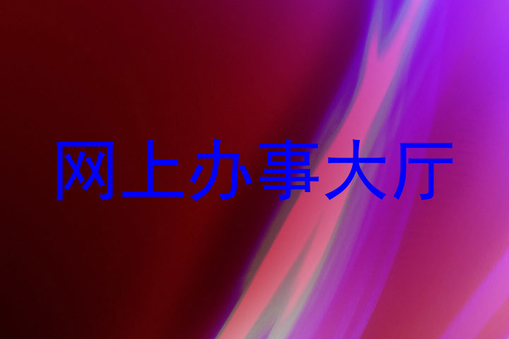 网上办事大厅