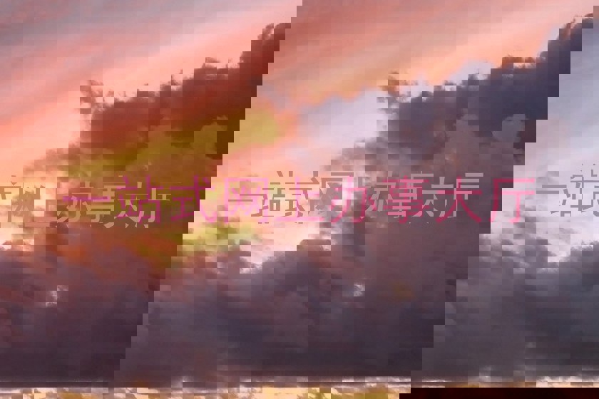 一站式网上办事大厅