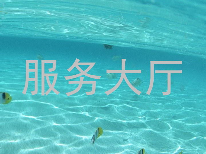 服务大厅