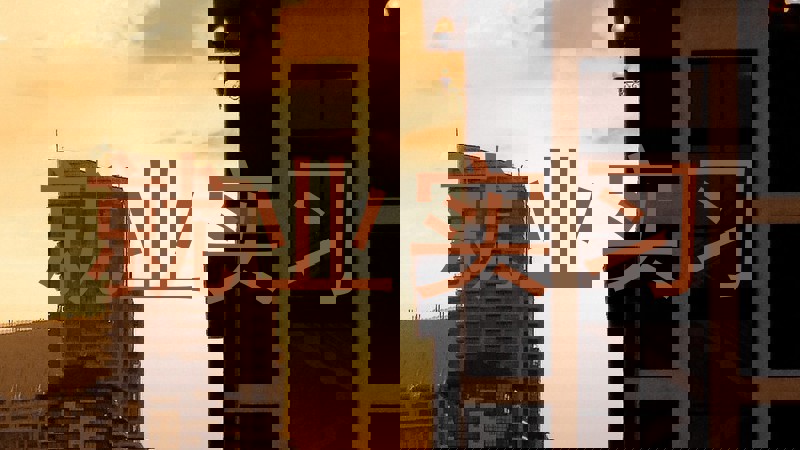 就业实习