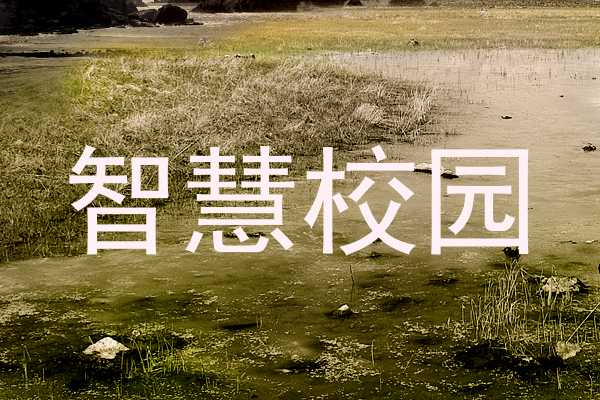 智慧校园