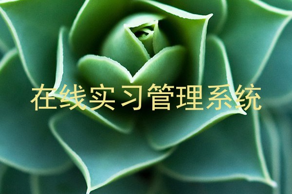 在线实习管理系统