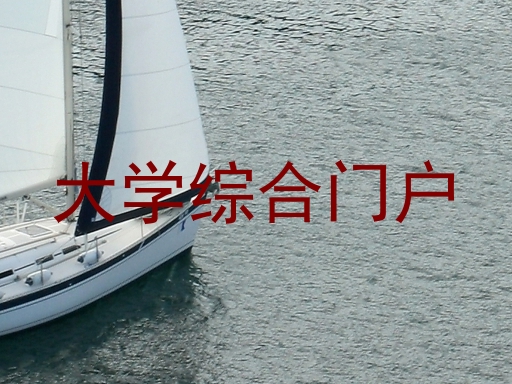 大学综合门户