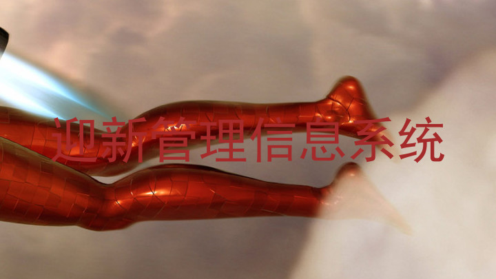 迎新管理信息系统