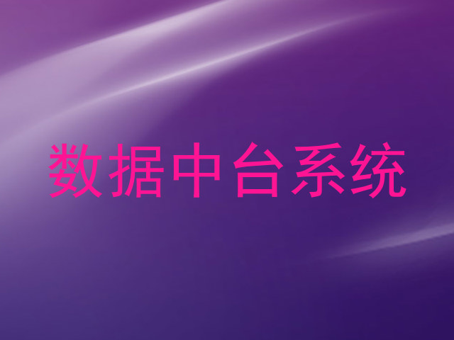 数据中台系统