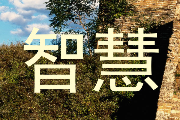 智慧