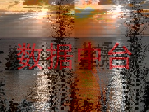 数据中台