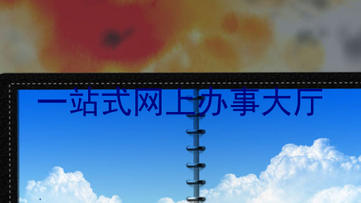 一站式网上办事大厅