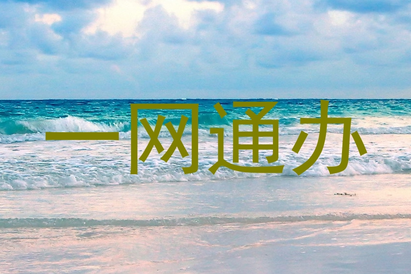 一网通办