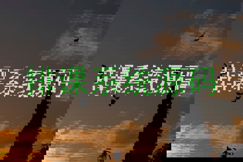 排课系统源码
