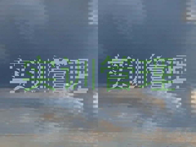 实训管理