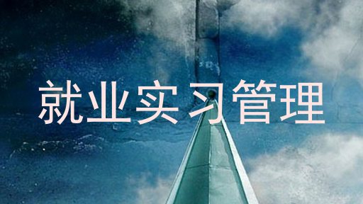就业实习管理
