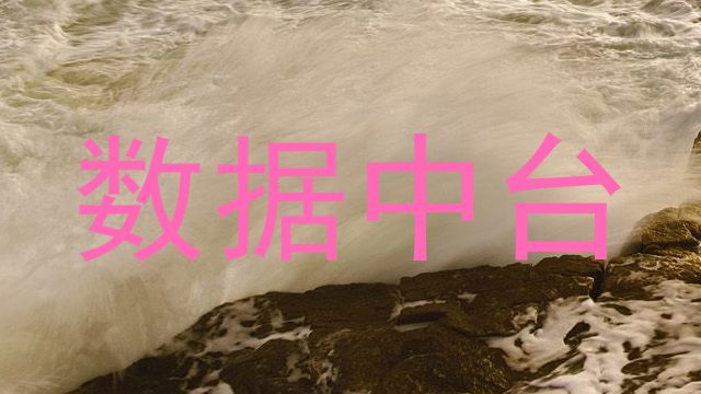 数据中台