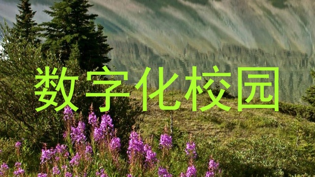 数字化校园