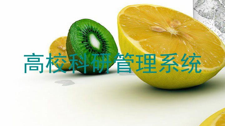 高校科研管理系统