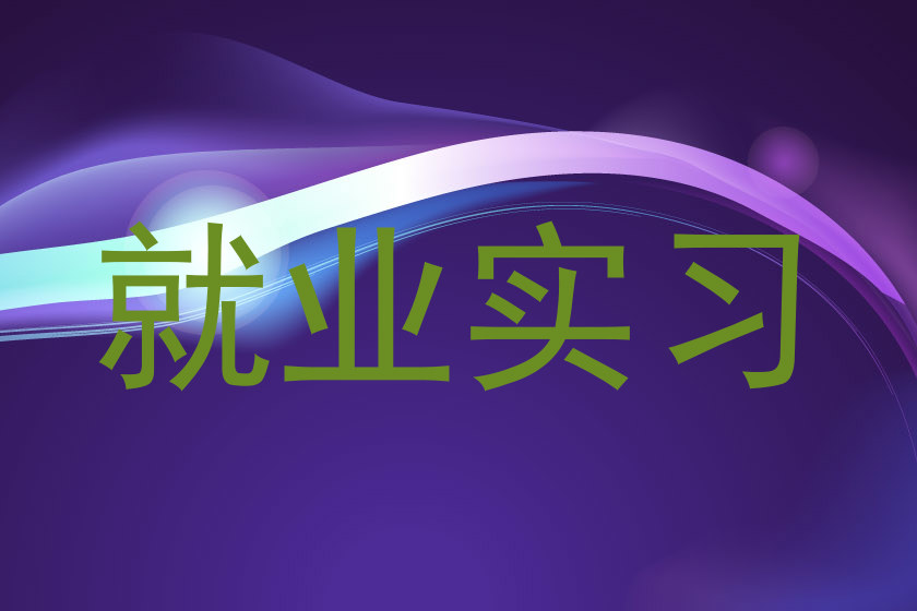就业实习